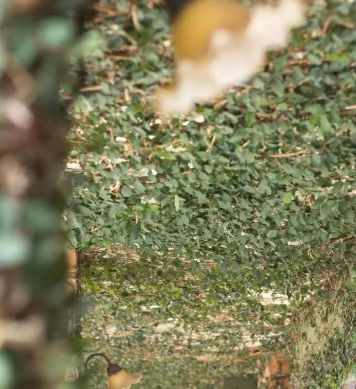 酒店 Khaolak Tony Lodge