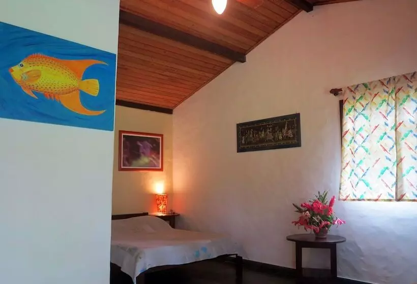 ホテル Vila Guaiamú