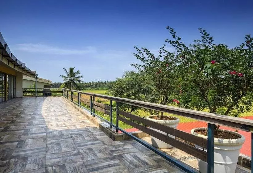 渡假胜地  Beleza By The Beach