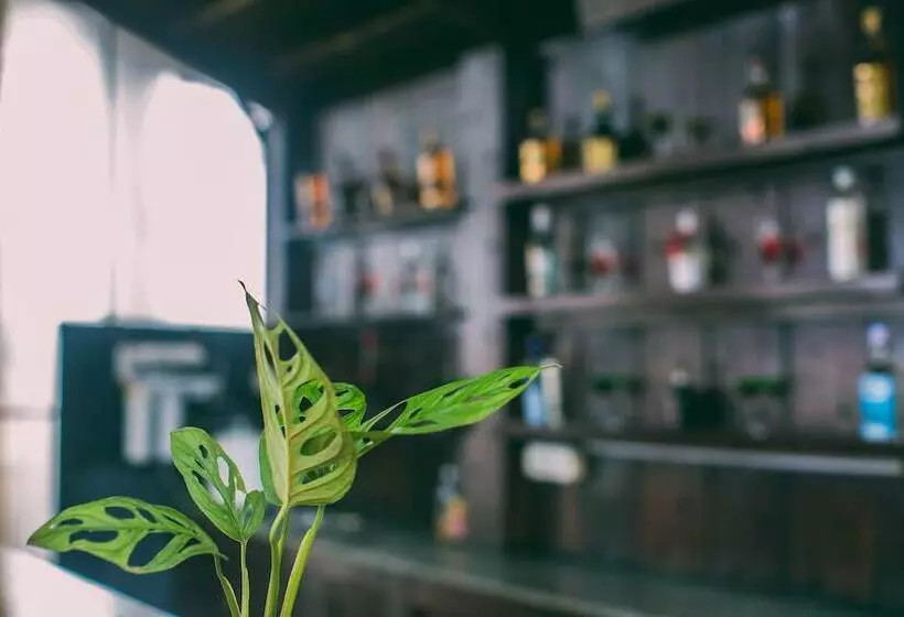 渡假胜地  Beleza By The Beach