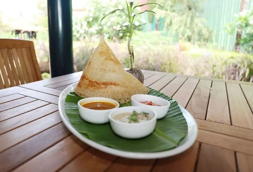 渡假胜地  Beleza By The Beach