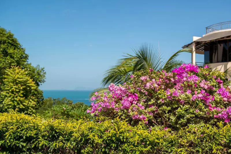 Sunset Hill Boutique Resort