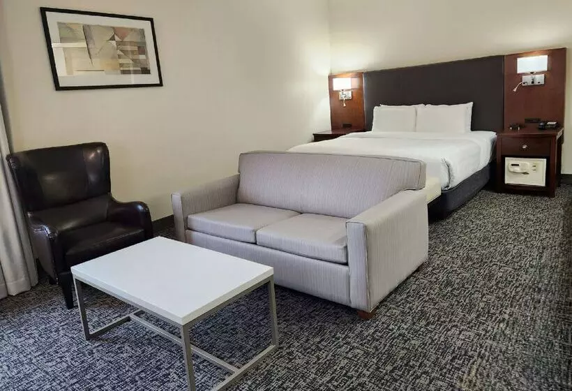 Hôtel Best Western Plus Downtown Inn & Suites