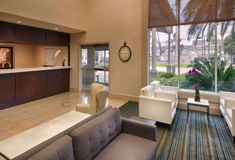 هتل Best Western Plus Downtown Inn & Suites