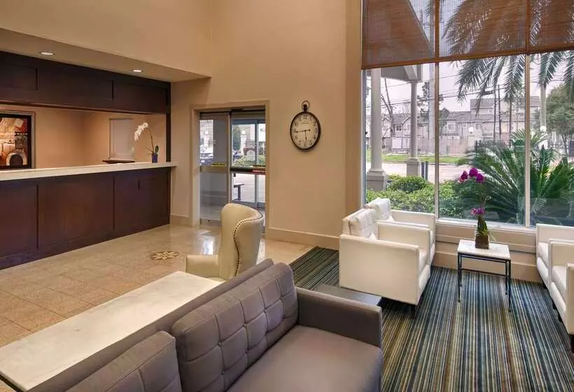 Hôtel Best Western Plus Downtown Inn & Suites