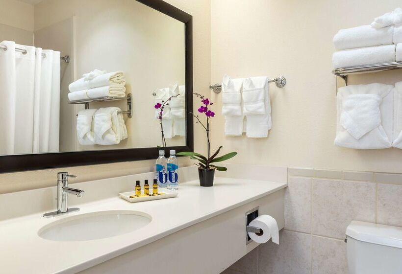 هتل Best Western Plus Downtown Inn & Suites