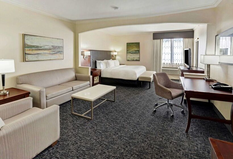 هتل Best Western Plus Downtown Inn & Suites