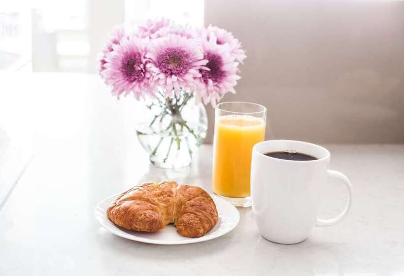 هتل Best Western Plus Downtown Inn & Suites