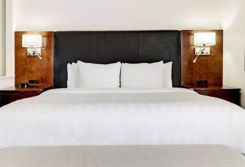 Hôtel Best Western Plus Downtown Inn & Suites