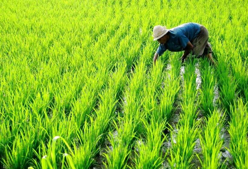 Szálloda Como Uma Ubud