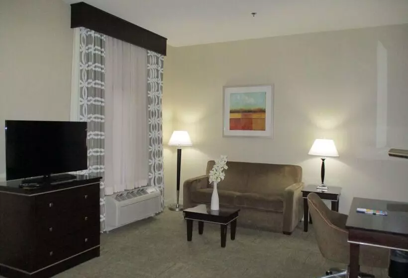 Hotel Hampton Inn & Suites Las Vegas South