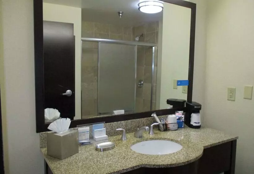 Hotel Hampton Inn & Suites Las Vegas South