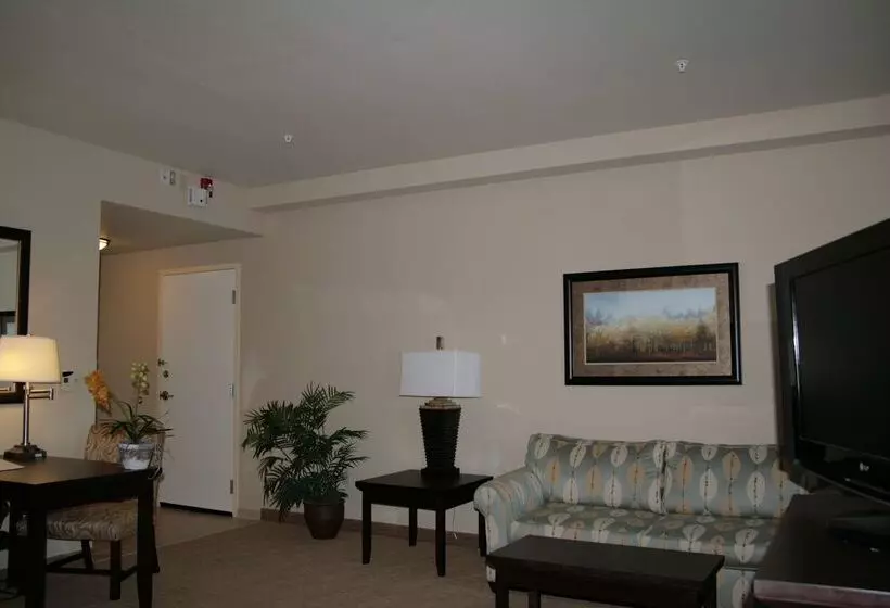 فندق Hampton Inn & Suites Austin Cedar Parklakeline