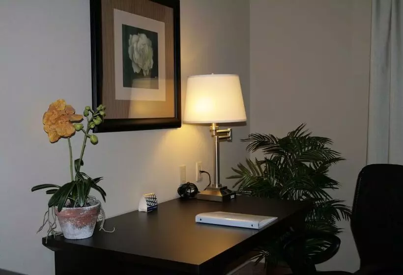 فندق Hampton Inn & Suites Austin Cedar Parklakeline