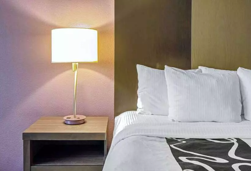 Отель La Quinta Inn & Suites By Wyndham Corpus Christin Padre Isl