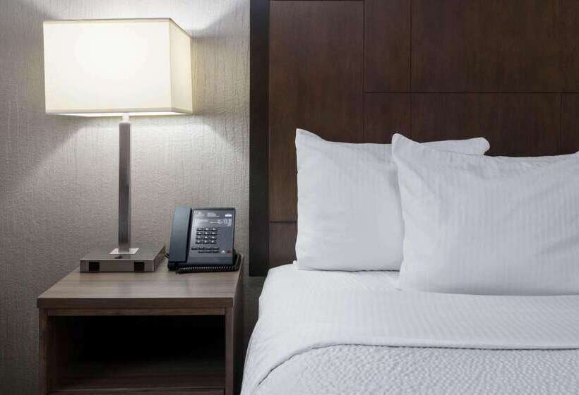 فندق La Quinta By Wyndham Fairbanks Airport