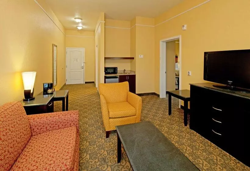 هتل La Quinta By Wyndham Mobile Tillman S Corner