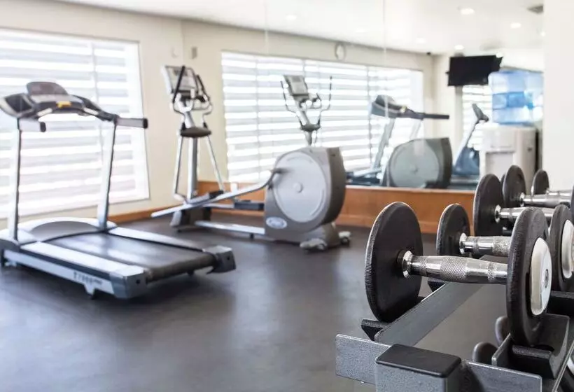 Отель NH Queretaro