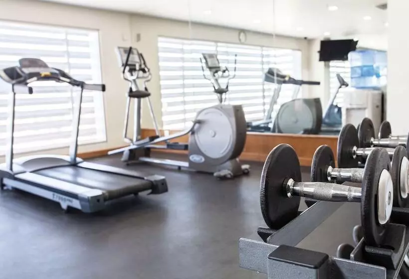 Отель NH Queretaro