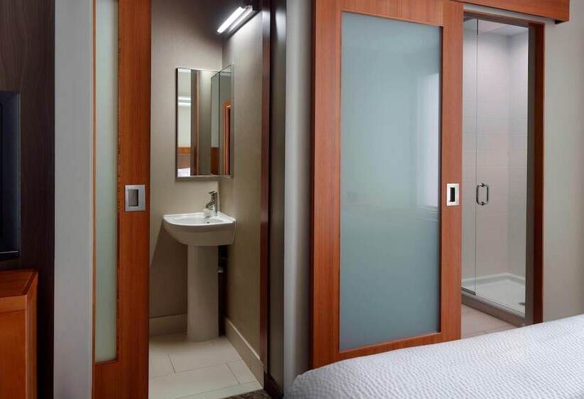 فندق Springhill Suites By Marriott Atlanta Airport Gateway