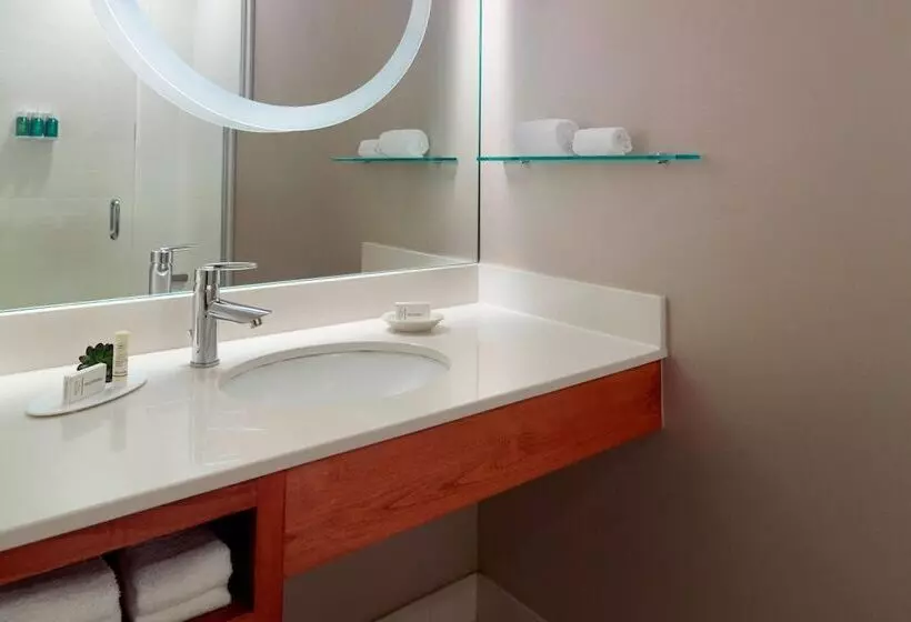 בית מלון כפרי Springhill Suites By Marriott Atlanta Airport Gateway