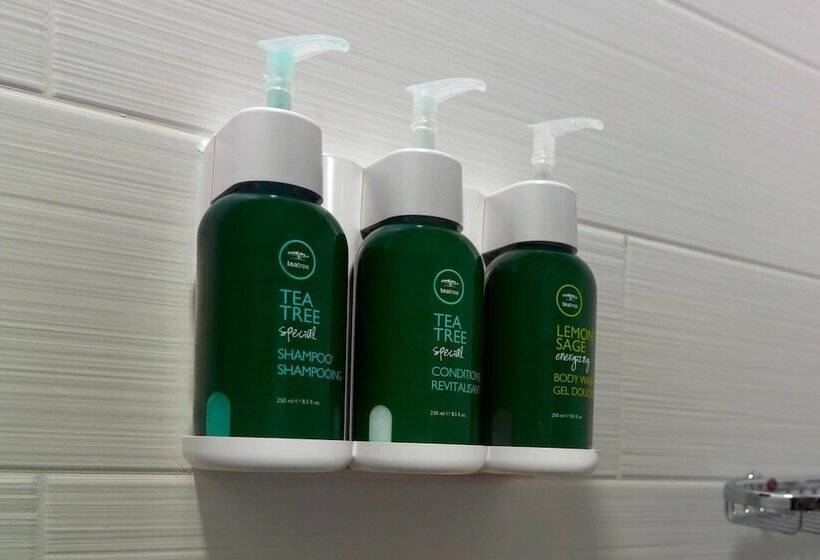 فندق Springhill Suites By Marriott Atlanta Airport Gateway