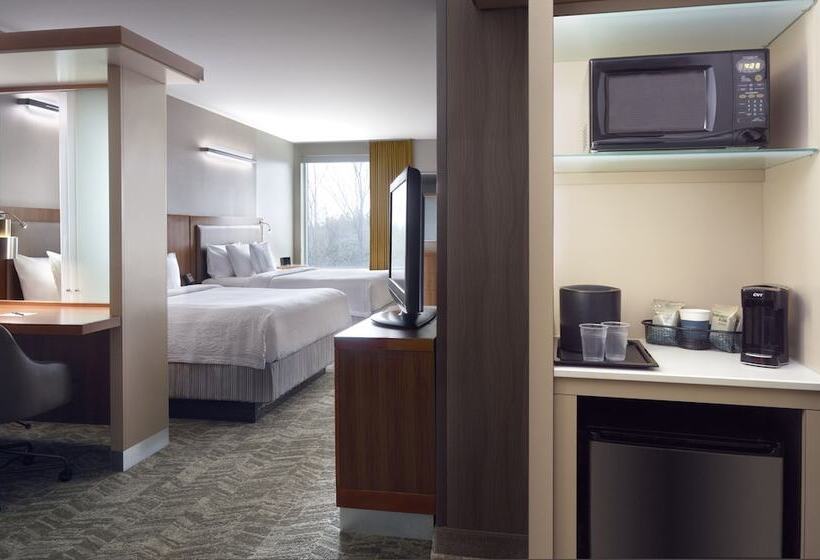فندق Springhill Suites By Marriott Atlanta Airport Gateway