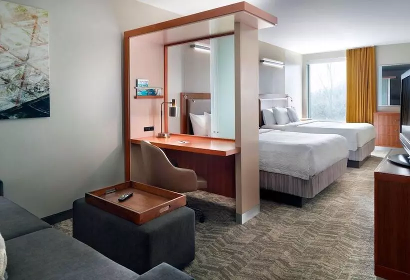 בית מלון כפרי Springhill Suites By Marriott Atlanta Airport Gateway