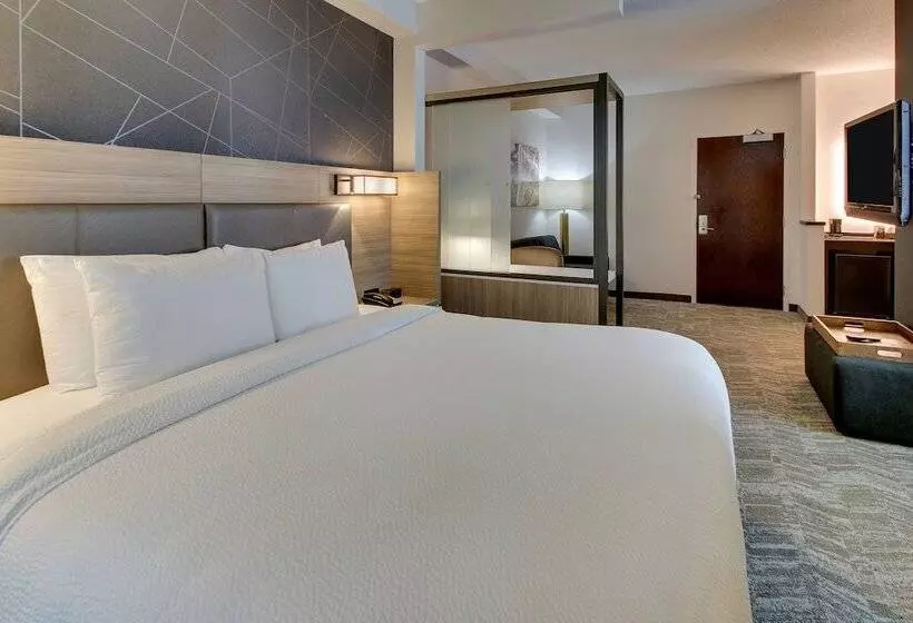 Otel Springhill Suites By Marriott Birmingham Downtown At Uab
