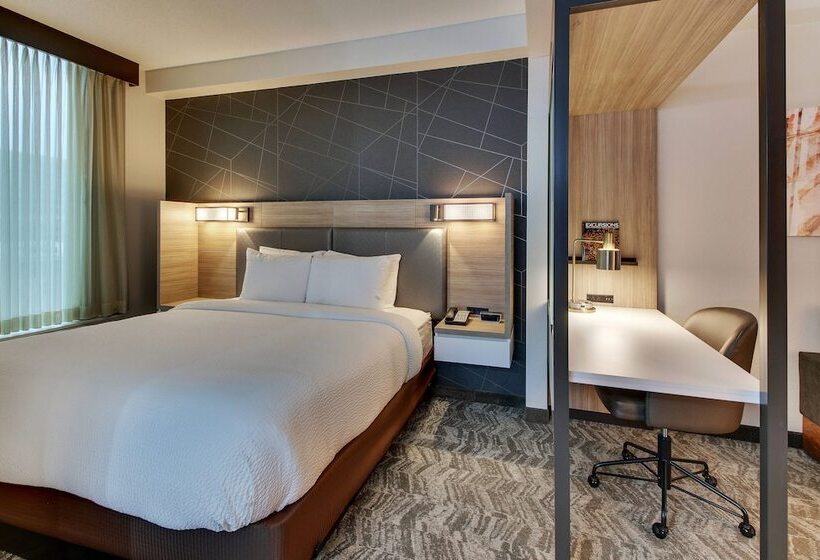 فندق Springhill Suites By Marriott Birmingham Downtown At Uab