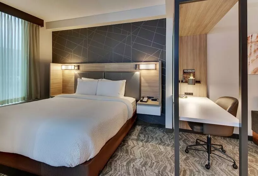 Otel Springhill Suites By Marriott Birmingham Downtown At Uab