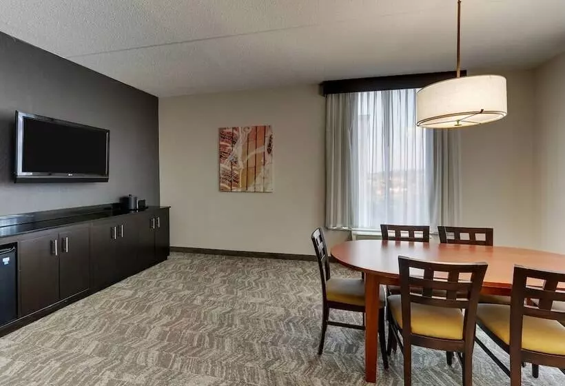 Otel Springhill Suites By Marriott Birmingham Downtown At Uab