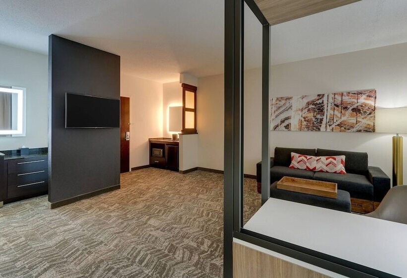 فندق Springhill Suites By Marriott Birmingham Downtown At Uab