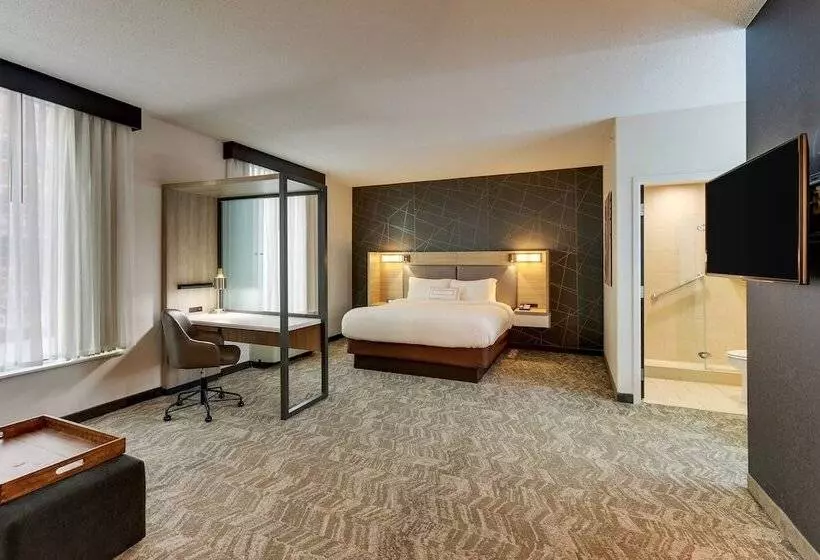 Otel Springhill Suites By Marriott Birmingham Downtown At Uab