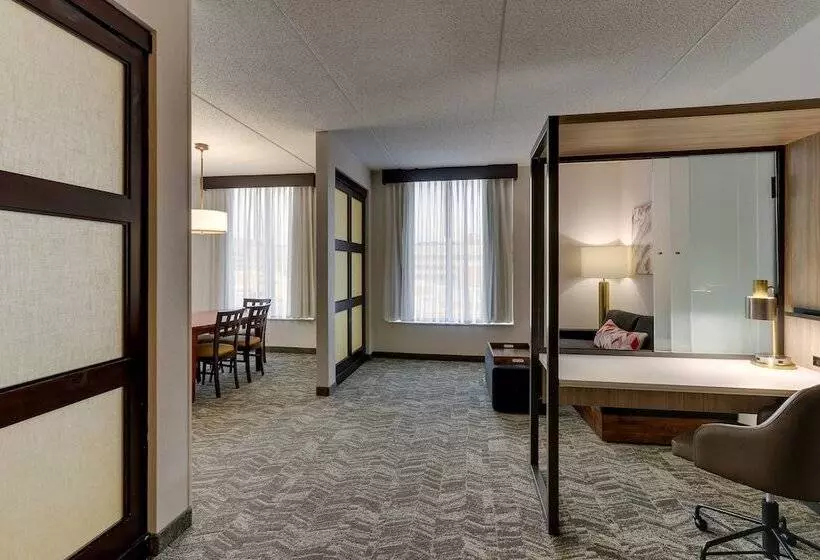 Otel Springhill Suites By Marriott Birmingham Downtown At Uab