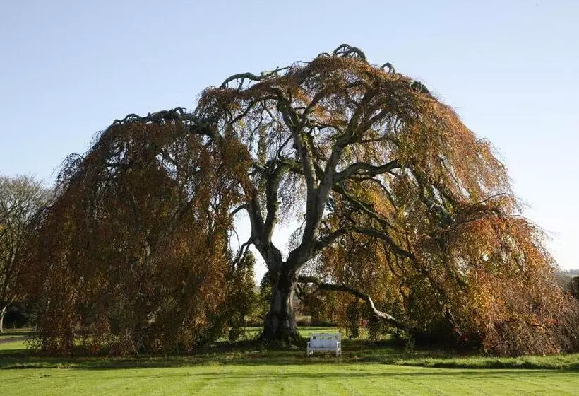 Bellinter House Hotel & Spa