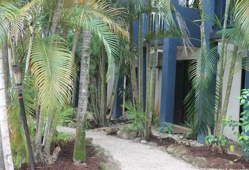 酒店 Bohemia Resort Cairns
