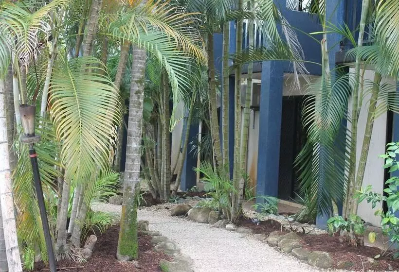 酒店 Bohemia Resort Cairns