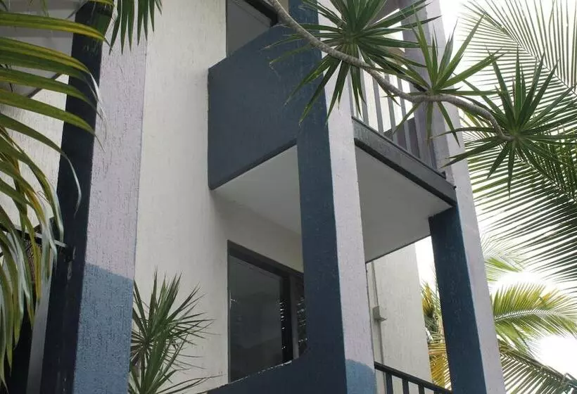 酒店 Bohemia Resort Cairns