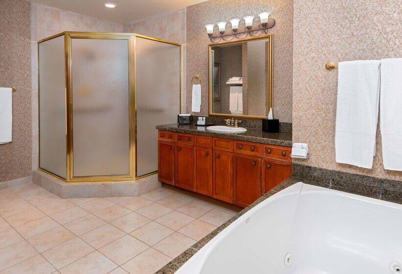 فندق Embassy Suites Lincoln