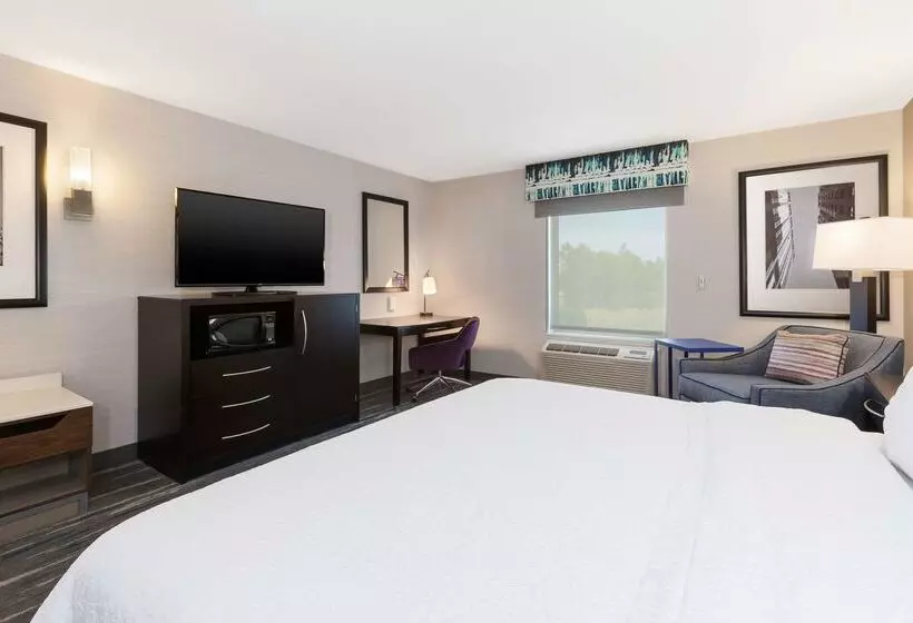 هتل Hampton Inn & Suites Flint/grand Blanc