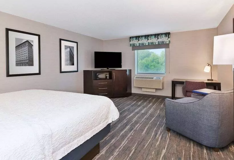 هتل Hampton Inn & Suites Flint/grand Blanc