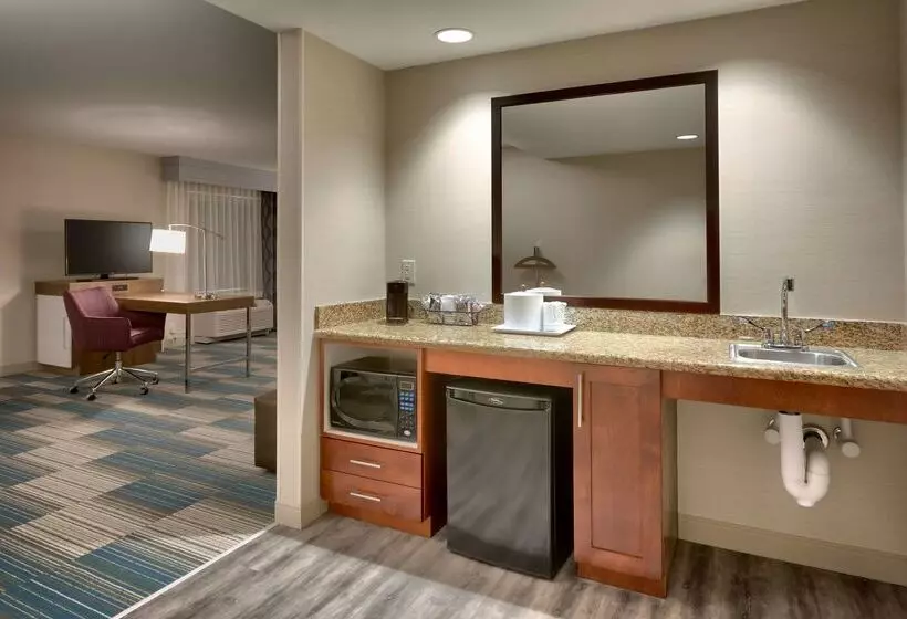 هتل Hampton Inn & Suites Pocatello