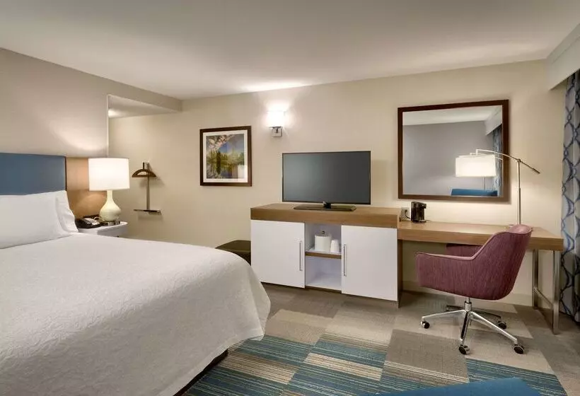 هتل Hampton Inn & Suites Pocatello