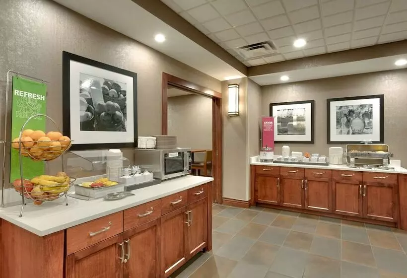هتل Hampton Inn & Suites Pocatello