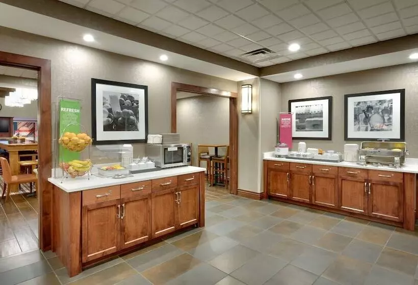 هتل Hampton Inn & Suites Pocatello