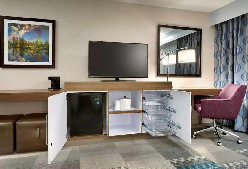 هتل Hampton Inn & Suites Pocatello