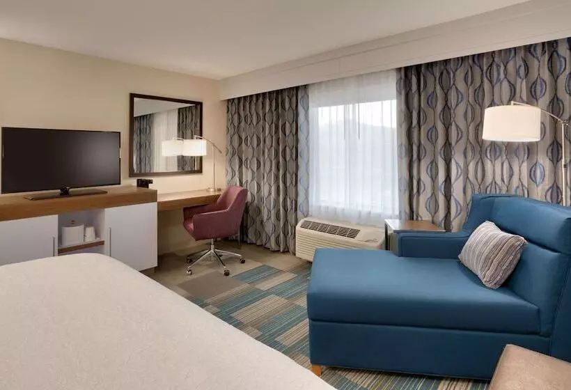 هتل Hampton Inn & Suites Pocatello
