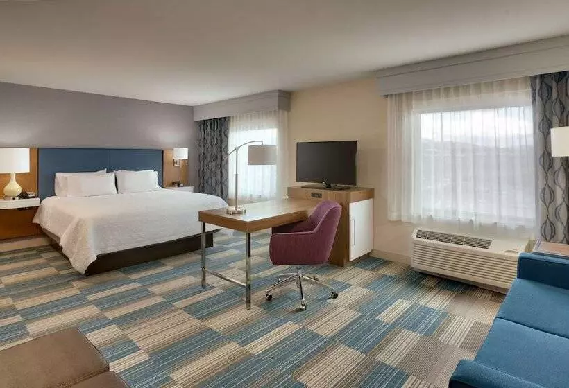 هتل Hampton Inn & Suites Pocatello