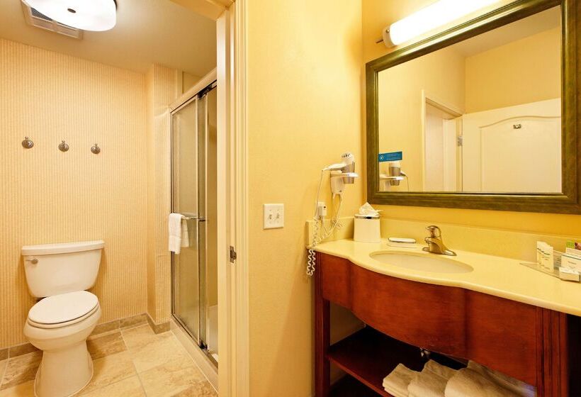 호텔 Hampton Inn Montrose